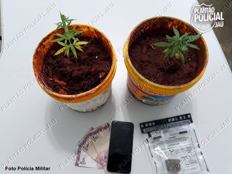 Em Jaú, jovem é preso após PM ver fotos dele no celular com tijolos de maconha e pés da droga em vasos