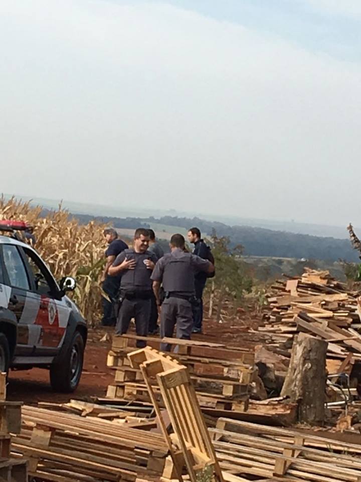 POLÍCIA – Homem é encontrado morto em milharal com ao menos 20 facadas em Pederneiras, região de Bauru