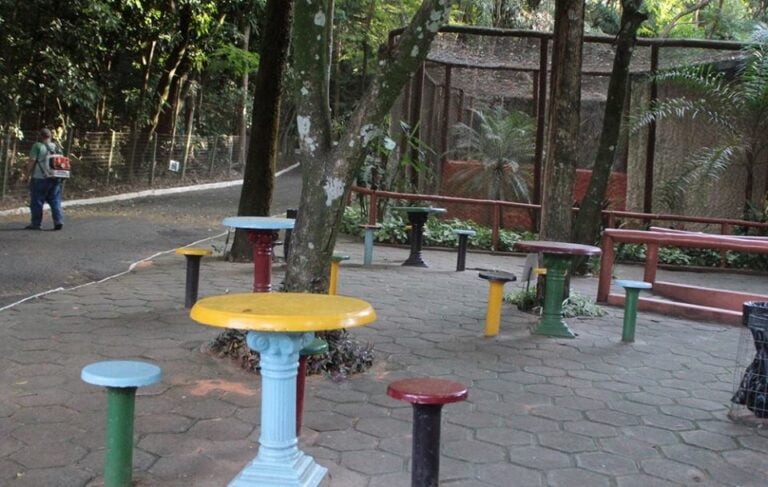 MARÍLIA – Suspeito de aliciar menina de 11 anos, rapaz de 20 é preso no bosque após trocar mensagens de celular