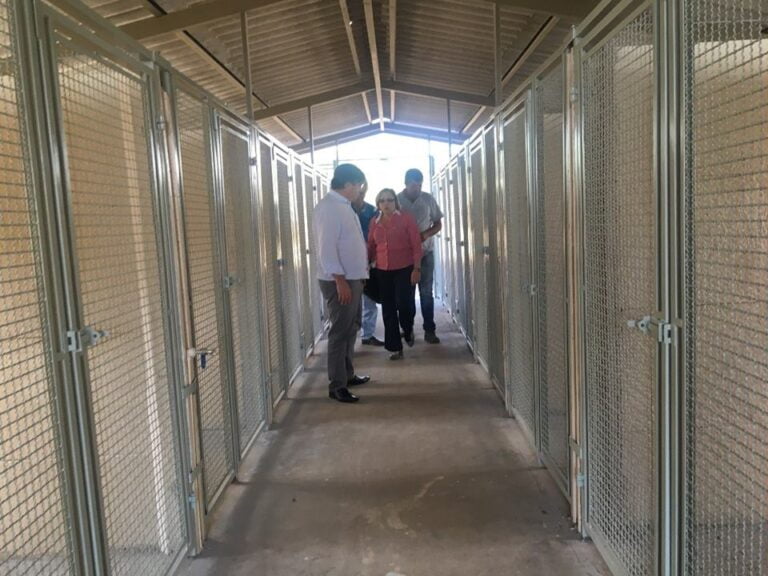 BOM PRA CACHORRO – Daniel inaugura novo canil municipal com espaço três vezes maior