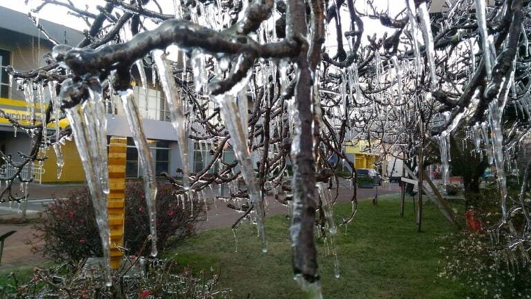 FRIO – Temperatura despenca em Santa Catarina e chega a -6,6 graus na serra