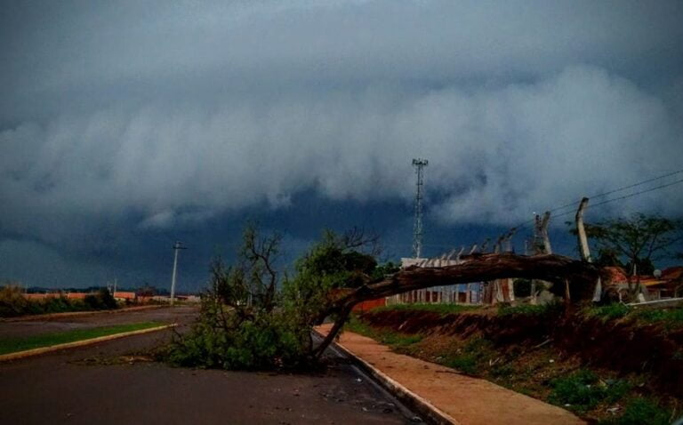 ATENÇÃO – Tempestade atinge cidades na região, derruba árvores e causa estragos