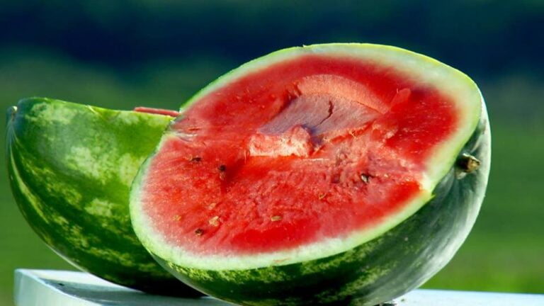 SÓ ALEGRIA – Bressane realiza a 6ª Festa da Melancia de hoje a domingo; Confira programação