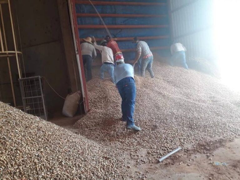 TUPÃ – Homem tenta consertar esteira dentro de silo e morre soterrado por toneladas de amendoim