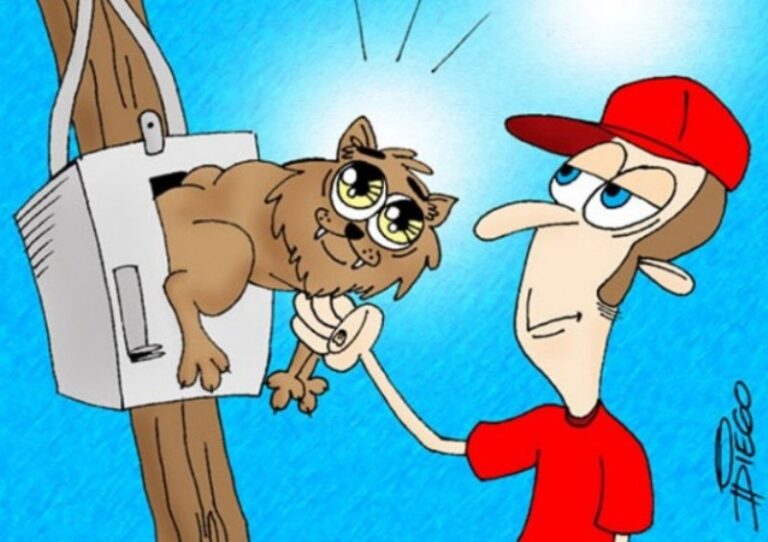 Furto – CPFL DIVULGA RANKING DE ‘GATO’ NA ENERGIA EM BAURU, MARÍLIA, JAÚ E REGIÃO