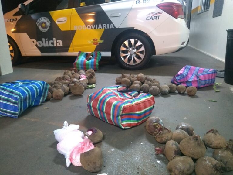 Muita imaginação – POLÍCIA APREENDE BETERRABAS RECHEADAS COM QUASE 30 KG DE COCAÍNA