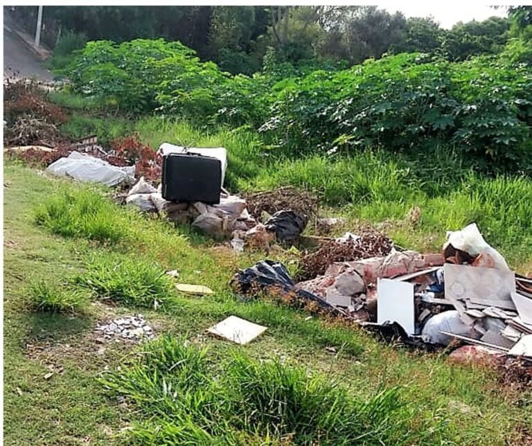 Fim da picada – SERVIDOR FLAGRA MOTORISTA DESCARREGANDO CAMINHÃO DE LIXO EM TERRENO BALDIO