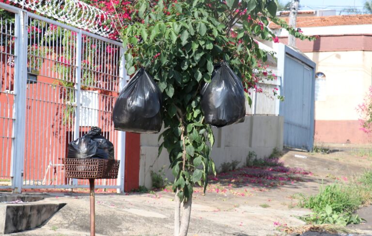 Lixo – PREFEITURA QUER ACABAR COM SACOLINHAS EM GRADES OU ÁRVORES