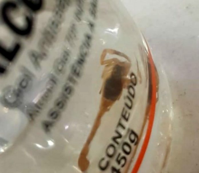 Inusitado – HOMEM É PICADO POR ESCORPIÃO DENTRO DE HOSPITAL, ESPERANDO ATENDIMENTO DA FILHA