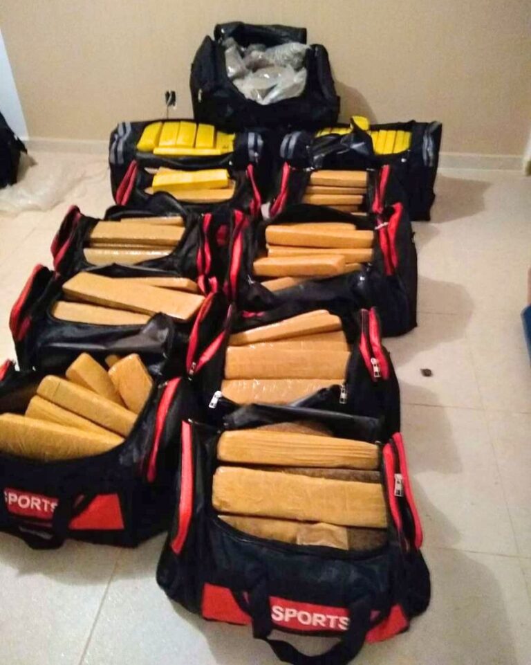 Tráfico – POLÍCIA PRENDE JOVEM DE 19 ANOS COM 300 KG DE MACONHA