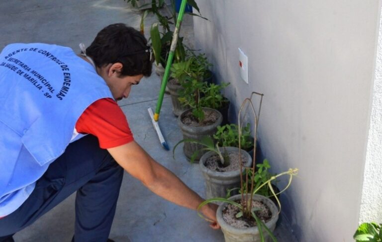 2020 – MARÍLIA TEM 1481 CASOS DE DENGUE