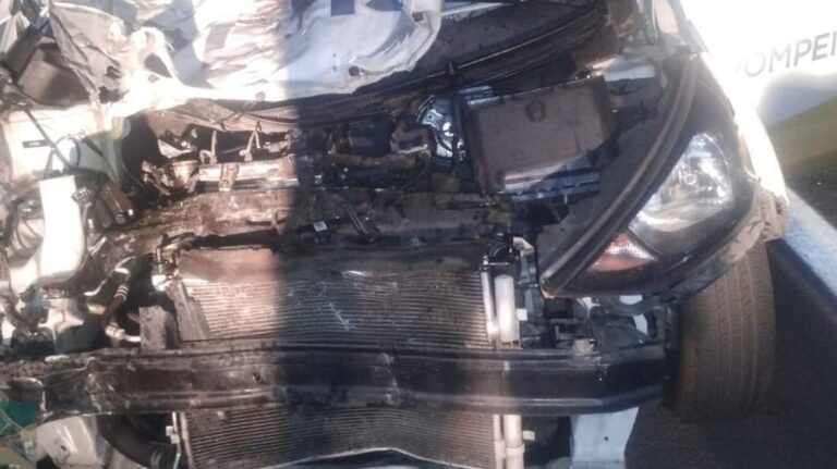 Cavalo é atropelado na SP-294 em Marília