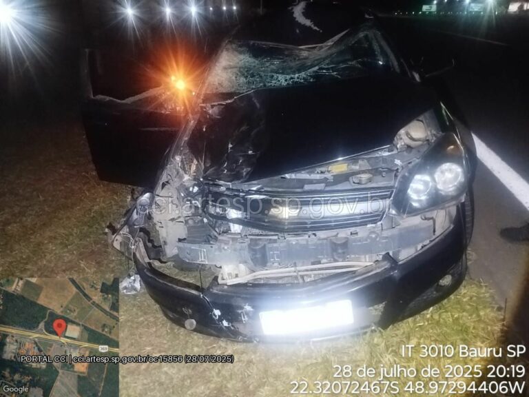 Animal na pista provoca acidente com dois veículos