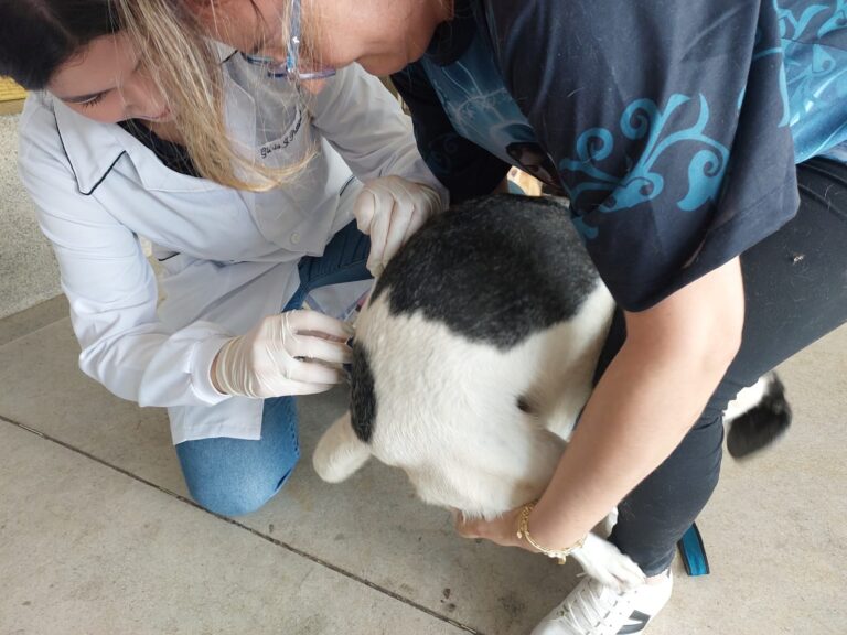 Marília realiza neste sábado duas ações de vacinação antirrábica