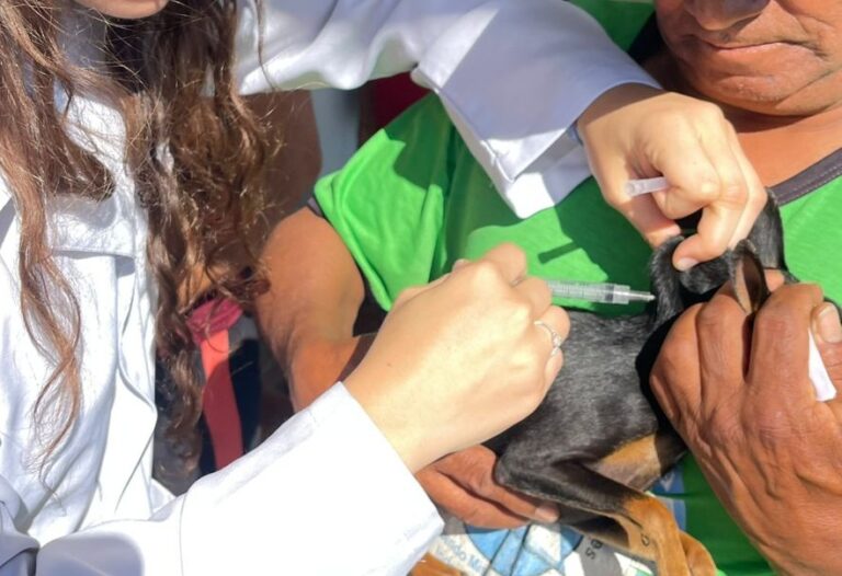 600 cães e gatos recebem vacinação antirrábica
