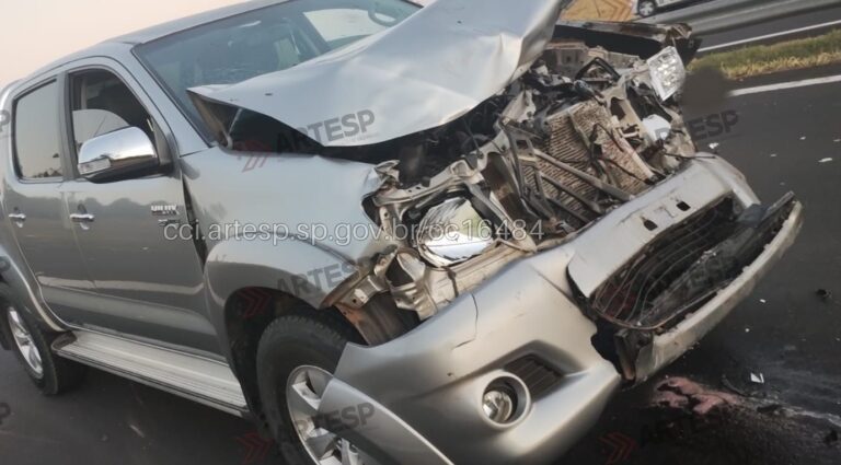 Animais na pista provocaram acidente na SP 294