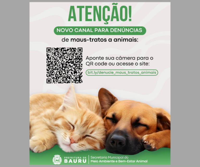 Bauru moderniza canal de denúncias de maus-tratos e reforça combate à violência contra animais