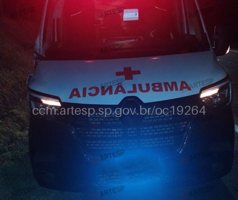 Ambulância colide com cavalo na SP-255 em Barra Bonita