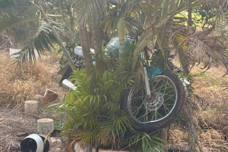 Moto cravada em palmeiras na Venda Seca expõe abandono e  “promessas de papel” na Vicinal Jaú- Potunduva