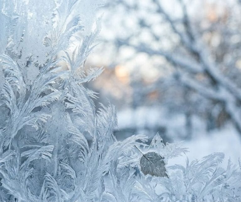 Inverno começa neste domingo (21) com alerta da Defesa Civil para “gangorra térmica” e mudanças bruscas de temperatura